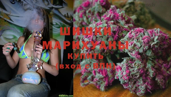 МДПВ Алзамай