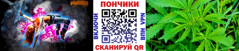где можно купить наркотик  Нытва  Шишки марихуана планчик 